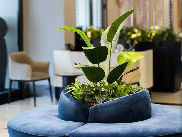 Aliba Hotel