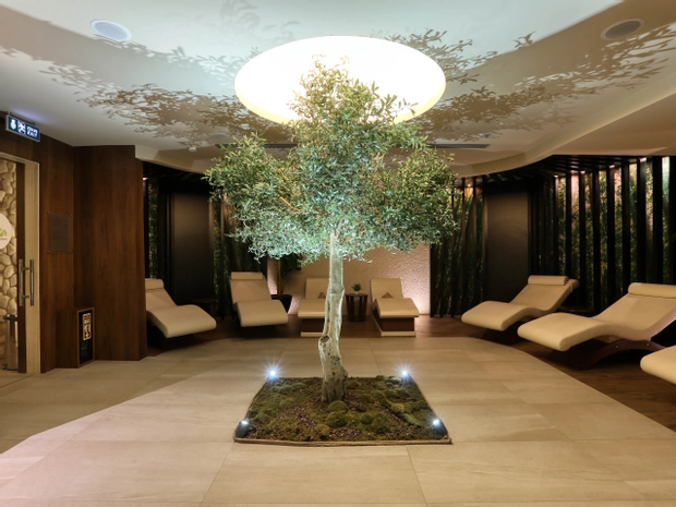 Spa & Wellness