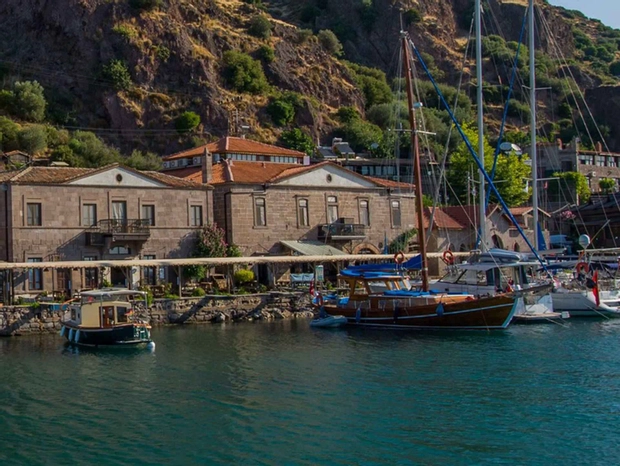 Genel Görünüm