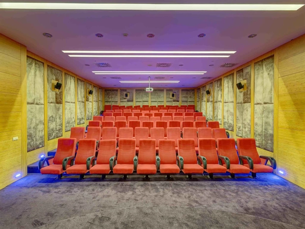Sinema Salonu