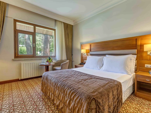 Standart Oda Orman Manzaralı