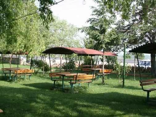 Genel Alan