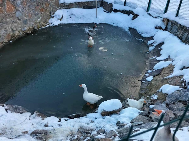 Candarlı Çiftliği