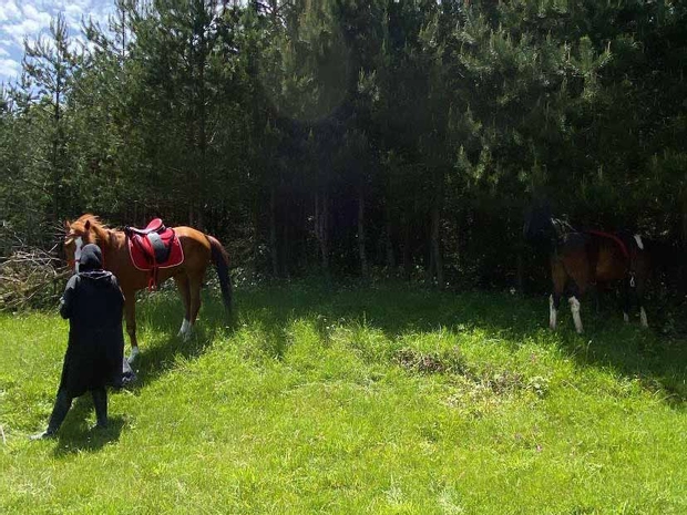 Candarlı Çiftliği