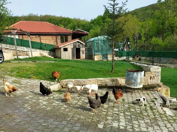 Candarlı Çiftliği