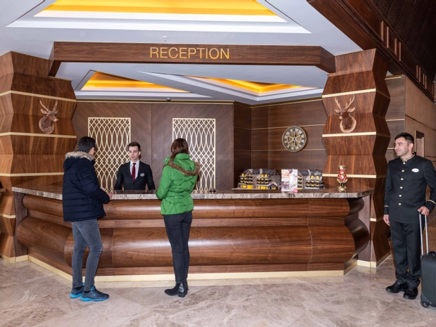 DAS 3917 Otel