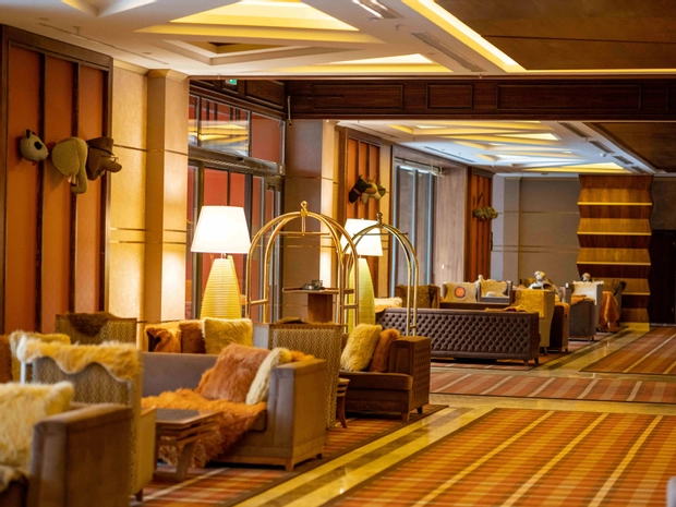 DAS 3917 Otel