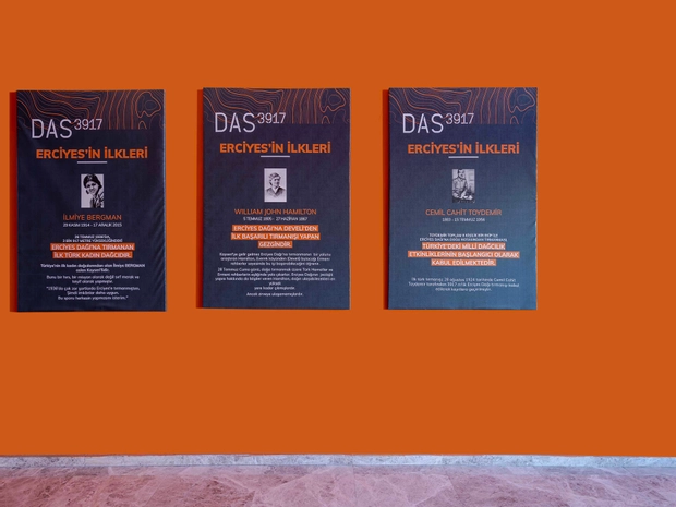 DAS 3917 Otel