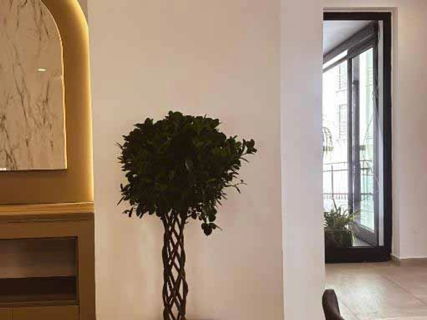 Dorana Art Hotel