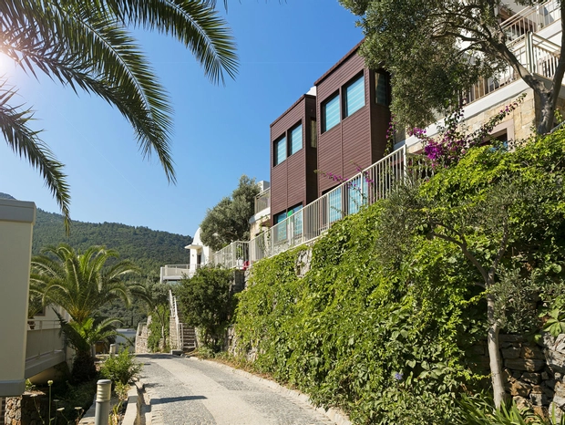 Genel Görünüm