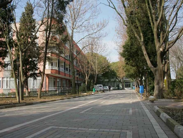 Genel Görünüm