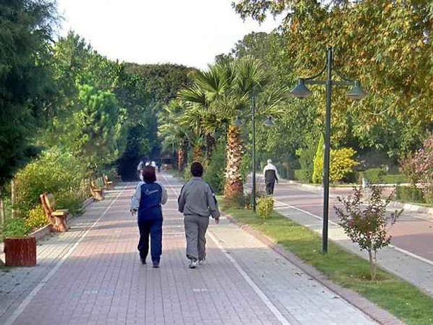 Genel Görünüm