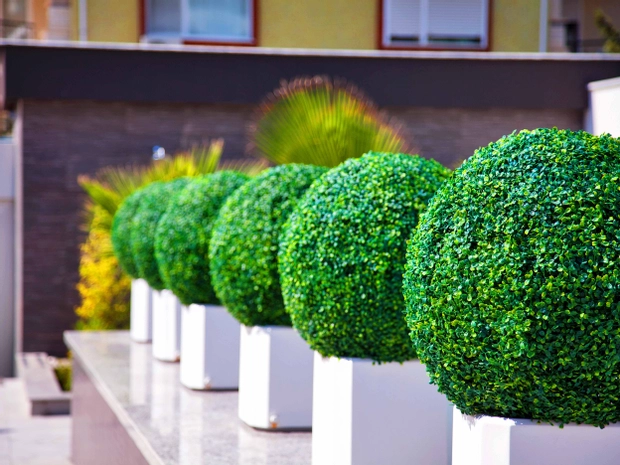 Green Garden Suit Hotel
