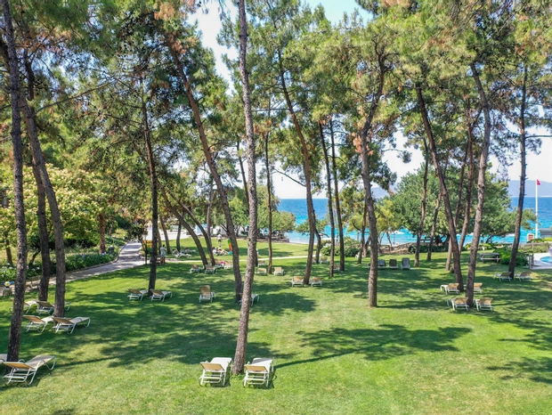 Bahçe