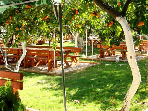 İdavilla Bungalov & Bahçe
