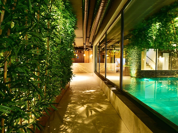 Spa & Wellness