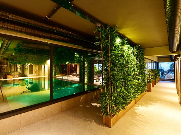 Spa & Wellness