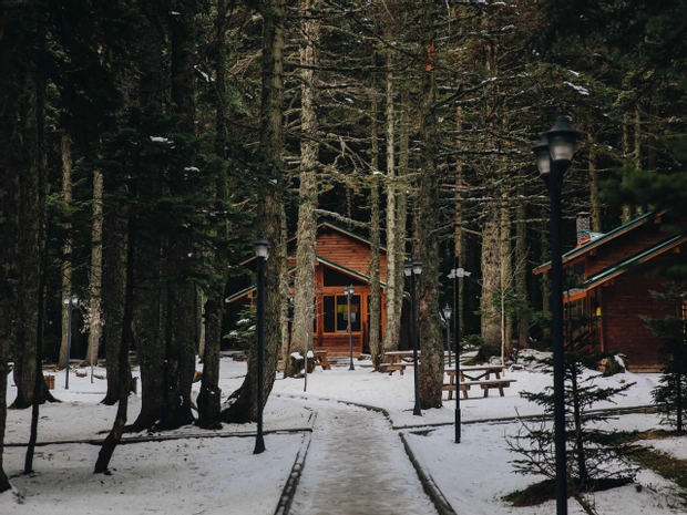 Karinna Orman Köşkleri