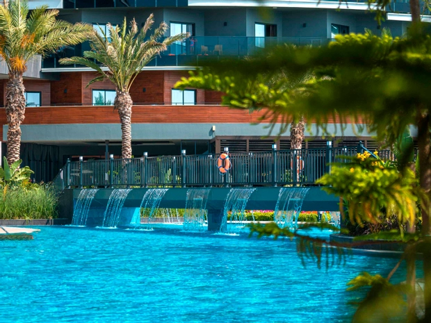 Calyptus Kirman Premium