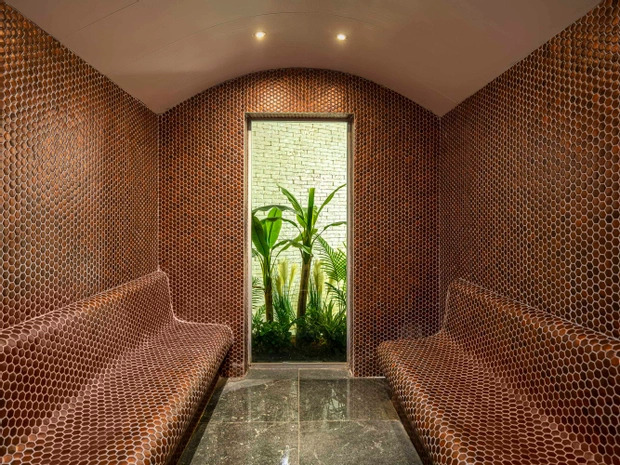 Calyptus Kirman Premium