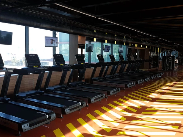 Spor