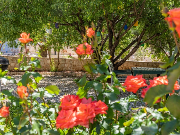 Lacitrus Hotel And Villa