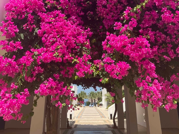 Ladonia Hotels Zemda Boutique