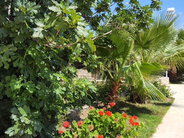 Ladonia Hotels Zemda Boutique