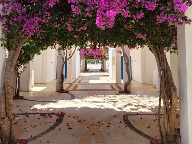 Ladonia Hotels Zemda Boutique