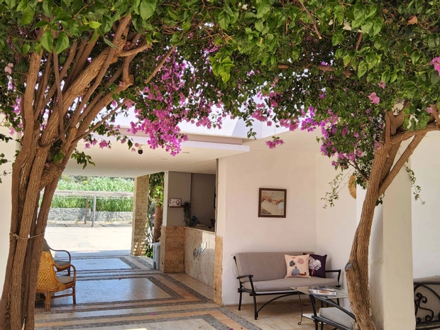 Ladonia Hotels Zemda Boutique