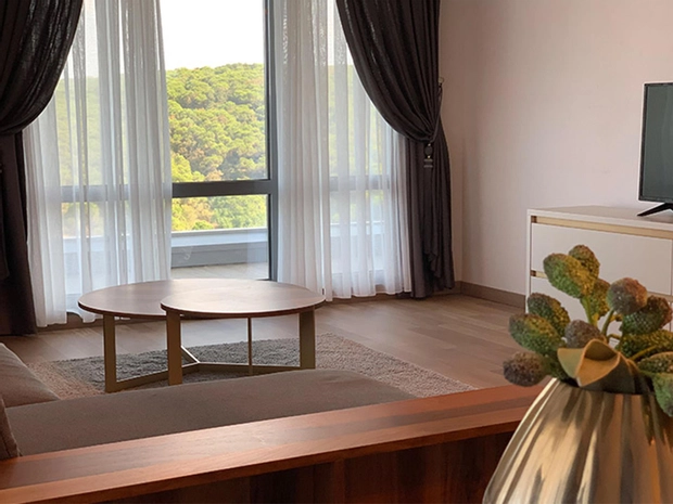 1 Bedroom Suite