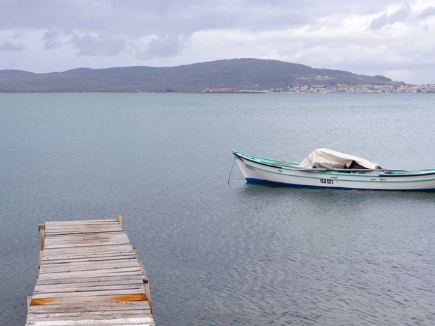 Panjur Ayvalık