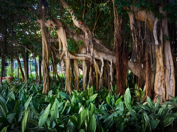 Mövenpick Resort Antalya Tekirova