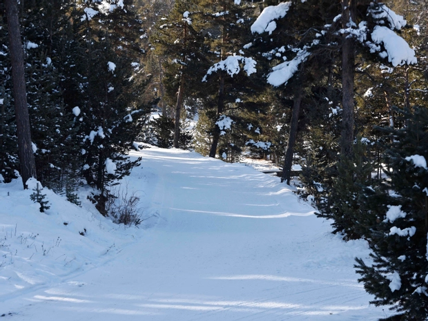 Sarıkamış Kayı Snow