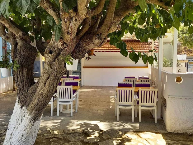 Tropicana Hotel