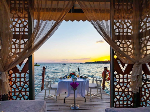 VONRESORT Elite