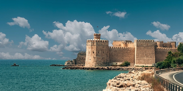 maşa ile ve koca ayı