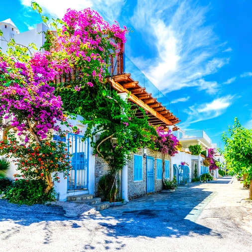 Bodrum Turları